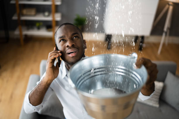 Best Local water damage restoration  in Sunny Isles Beach, FL