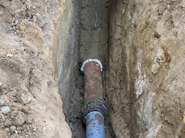 Best Flood damage cleanup  in Sunny Isles Beach, FL