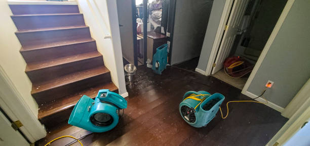 Best Water damage contractors near me  in Sunny Isles Beach, FL