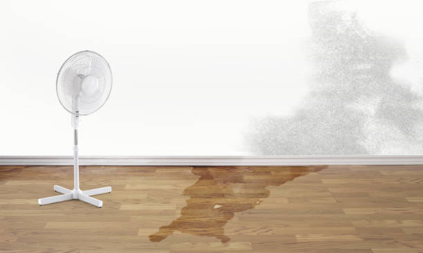 Best Commercial water damage restoration  in Sunny Isles Beach, FL