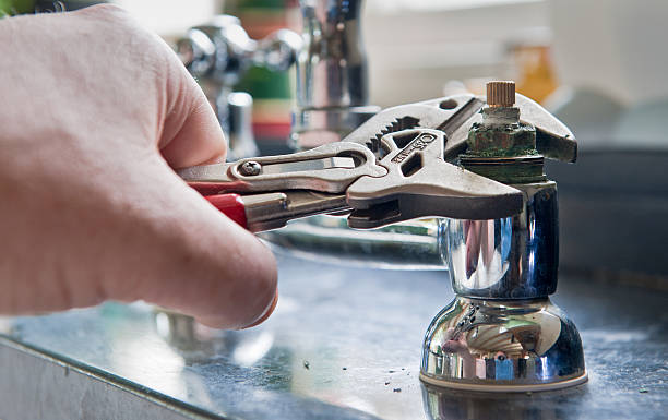 Best Mold removal after water damage  in Sunny Isles Beach, FL