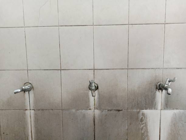 Best Carpet water damage restoration  in Sunny Isles Beach, FL