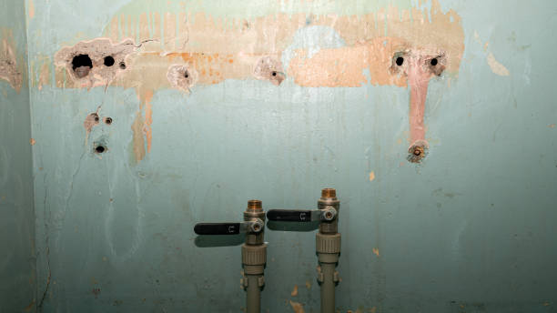  Sunny Isles Beach, FL Water damage restoration Pros