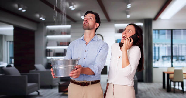 Best 24/7 water damage repair  in Sunny Isles Beach, FL